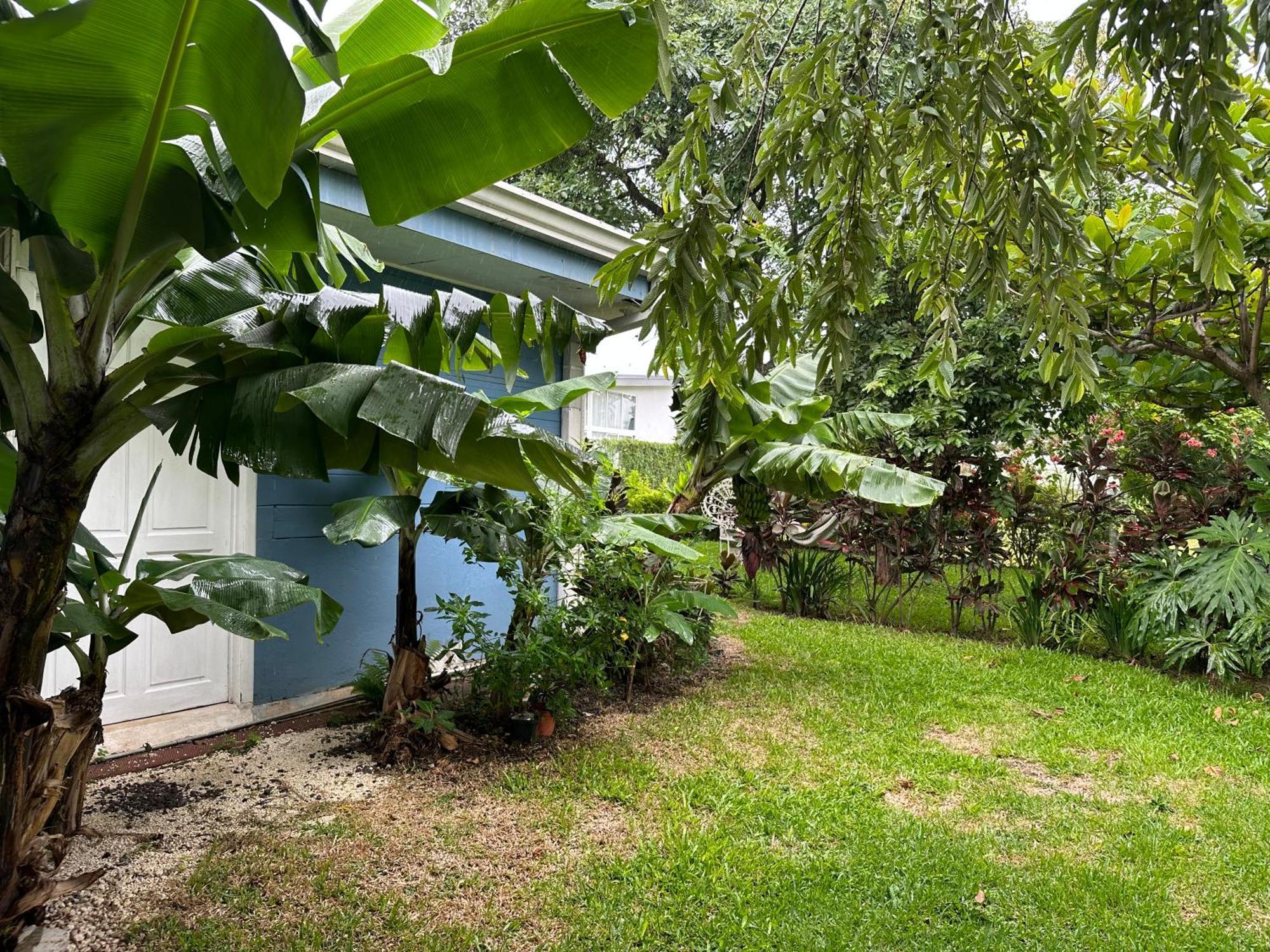 Apartamento Casa Stella Heredia Exterior foto